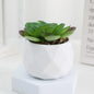 Mini Bonsai de Suculentas Artificiais