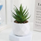 Mini Bonsai de Suculentas Artificiais