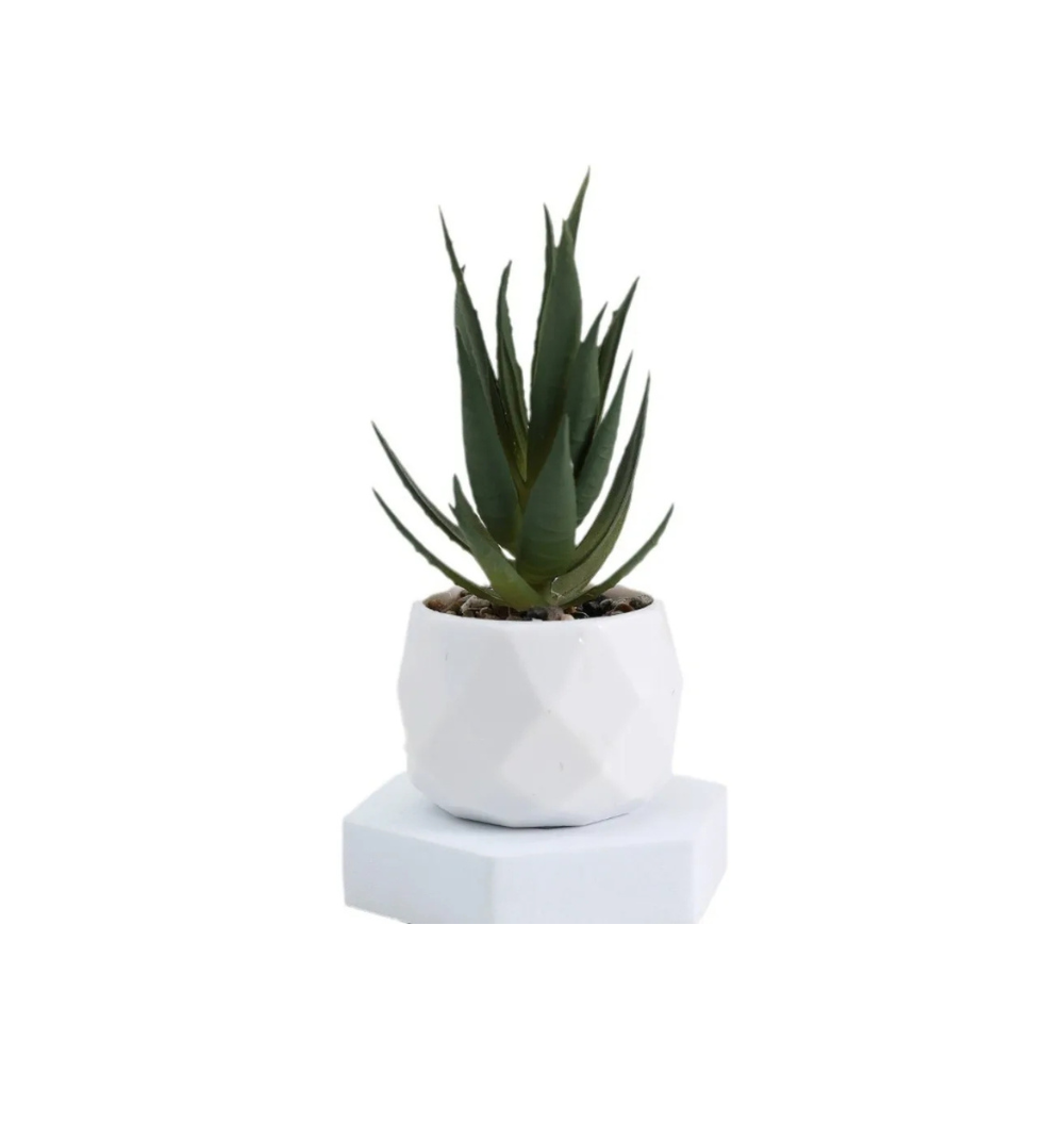 Mini Bonsai de Suculentas Artificiais